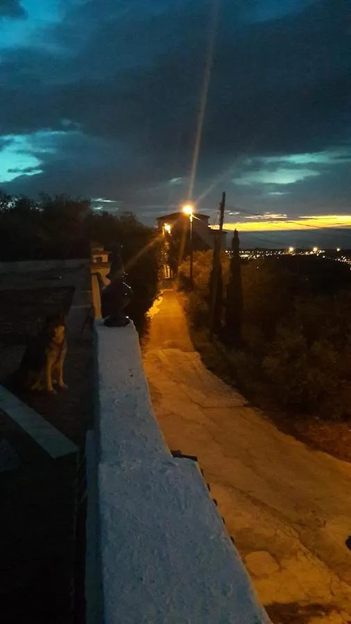 Carpe Diem De Malaga Spain